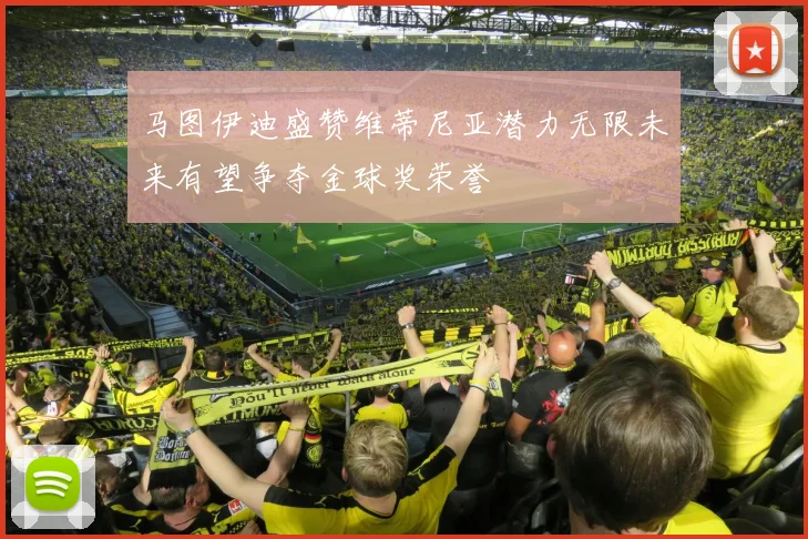 马图伊迪盛赞维蒂尼亚潜力无限未来有望争夺金球奖荣誉