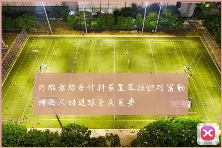内维尔称舍什科虽显笨拙但对富勒姆西汉姆进球至关重要