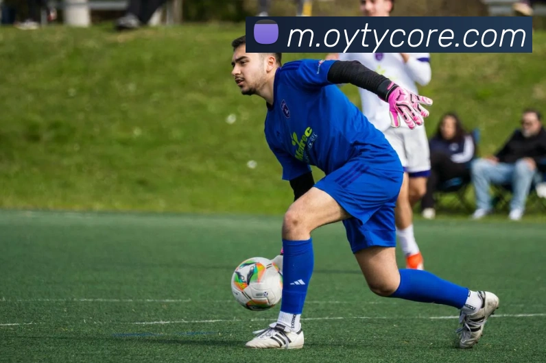 多媒体互动体验